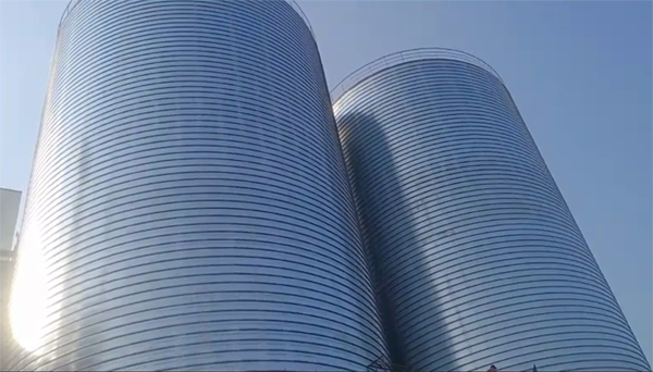 绥德2座混凝土高架卷板仓